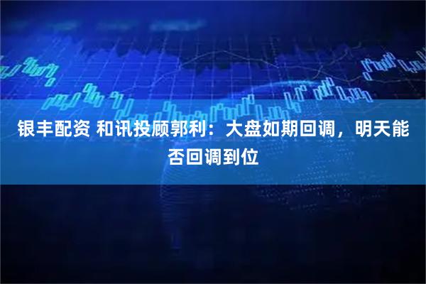 银丰配资 和讯投顾郭利：大盘如期回调，明天能否回调到位