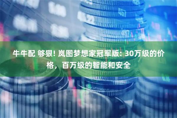 牛牛配 够狠! 岚图梦想家冠军版: 30万级的价格，百万级的智能和安全
