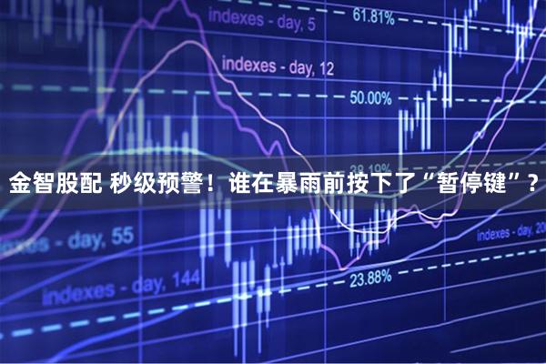 金智股配 秒级预警！谁在暴雨前按下了“暂停键”？